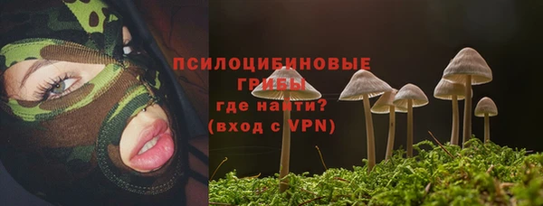 сатива Абдулино