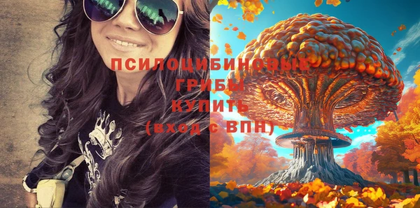 сатива Абдулино